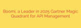 Boomi, a Leader in 2025 Gartner Magic Quadrant for API Management