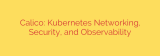 Calico: Kubernetes Networking, Security, and Observability