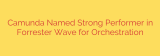 Camunda Named Strong Performer in Forrester Wave for Orchestration