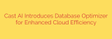 Cast AI Introduces Database Optimizer for Enhanced Cloud Efficiency