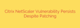 Citrix NetScaler Vulnerability Persists Despite Patching