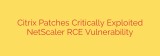 Citrix Patches Critically Exploited NetScaler RCE Vulnerability