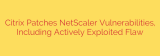 Citrix Patches NetScaler Vulnerabilities, Including Actively Exploited Flaw