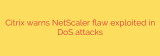 Citrix warns NetScaler flaw exploited in DoS attacks
