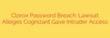 Clorox Password Breach: Lawsuit Alleges Cognizant Gave Intruder Access