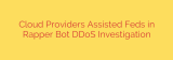 Cloud Providers Assisted Feds in Rapper Bot DDoS Investigation
