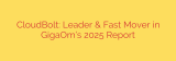 CloudBolt: Leader & Fast Mover in GigaOm’s 2025 Report