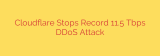 Cloudflare Stops Record 11.5 Tbps DDoS Attack