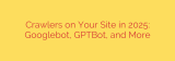 Crawlers on Your Site in 2025: Googlebot, GPTBot, and More