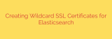 Creating Wildcard SSL Certificates for Elasticsearch