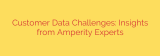 Customer Data Challenges: Insights from Amperity Experts