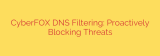 CyberFOX DNS Filtering: Proactively Blocking Threats