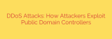 DDoS Attacks: How Attackers Exploit Public Domain Controllers