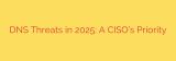 DNS Threats in 2025: A CISO’s Priority
