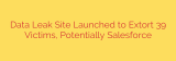 Data Leak Site Launched to Extort 39 Victims, Potentially Salesforce