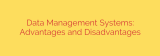 Data Management Systems: Advantages and Disadvantages