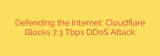 Defending the Internet: Cloudflare Blocks 7.3 Tbps DDoS Attack