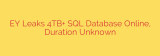 EY Leaks 4TB+ SQL Database Online, Duration Unknown