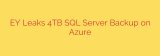 EY Leaks 4TB SQL Server Backup on Azure