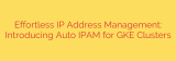 Effortless IP Address Management: Introducing Auto IPAM for GKE Clusters