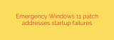 Emergency Windows 11 patch addresses startup failures