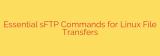 Essential sFTP Commands for Linux File Transfers