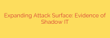 Expanding Attack Surface: Evidence of Shadow IT
