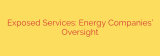 Exposed Services: Energy Companies’ Oversight