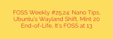 FOSS Weekly #25.24: Nano Tips, Ubuntu’s Wayland Shift, Mint 20 End-of-Life, It’s FOSS at 13