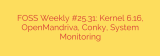FOSS Weekly #25.31: Kernel 6.16, OpenMandriva, Conky, System Monitoring