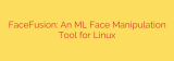 FaceFusion: An ML Face Manipulation Tool for Linux
