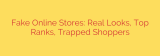 Fake Online Stores: Real Looks, Top Ranks, Trapped Shoppers