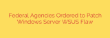 Federal Agencies Ordered to Patch Windows Server WSUS Flaw