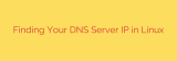 Finding Your DNS Server IP in Linux