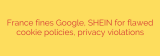 France fines Google, SHEIN for flawed cookie policies, privacy violations