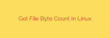 Get File Byte Count in Linux
