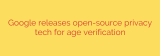Google releases open-source privacy tech for age verification