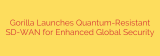 Gorilla Launches Quantum-Resistant SD-WAN for Enhanced Global Security