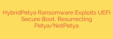 HybridPetya Ransomware Exploits UEFI Secure Boot, Resurrecting Petya/NotPetya