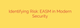 Identifying Risk: EASM in Modern Security