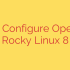 Set Up OpenVPN Client on Rocky Linux 8