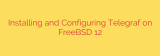 Installing and Configuring Telegraf on FreeBSD 12