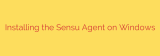 Installing the Sensu Agent on Windows