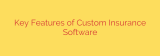 Key Features of Custom Insurance Software