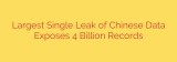 Largest Single Leak of Chinese Data Exposes 4 Billion Records