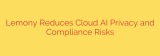 Lemony Reduces Cloud AI Privacy and Compliance Risks