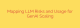 Mapping LLM Risks and Usage for GenAI Scaling