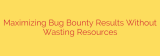 Maximizing Bug Bounty Results Without Wasting Resources