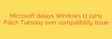 Microsoft delays Windows 11 24H2 Patch Tuesday over compatibility issue