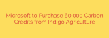 Microsoft to Purchase 60,000 Carbon Credits from Indigo Agriculture
